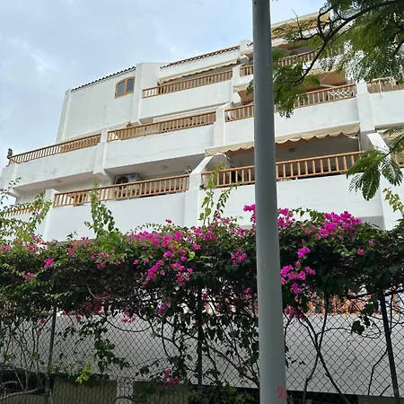 Tenerife Sud أذيخي
